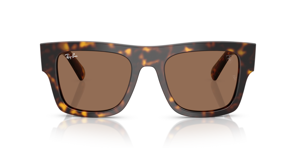 Ray-Ban | 0RB2217M