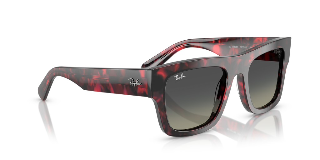 Ray-Ban | 0RB2217M