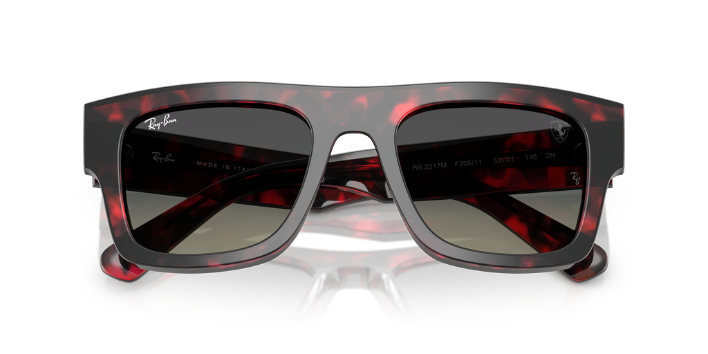 Ray-Ban | 0RB2217M