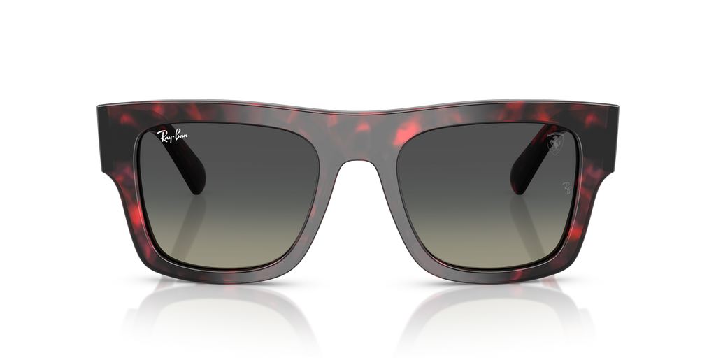Ray-Ban | 0RB2217M