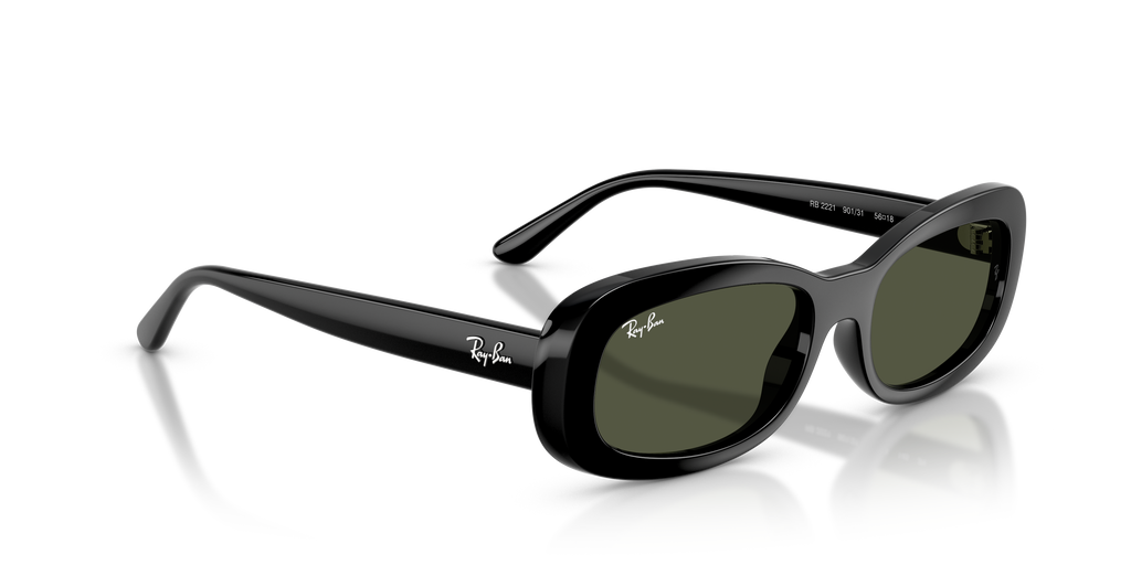 Ray-Ban | 0RB2221