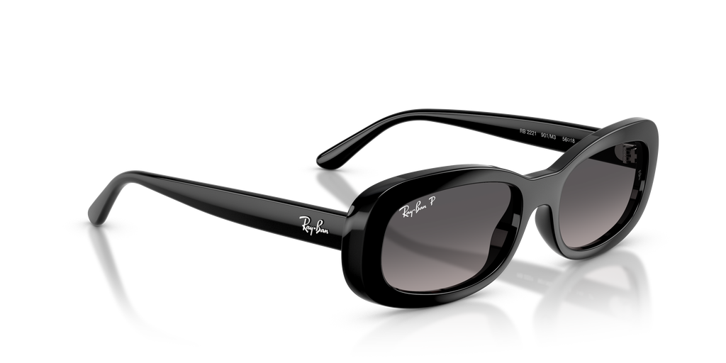 Ray-Ban | 0RB2221