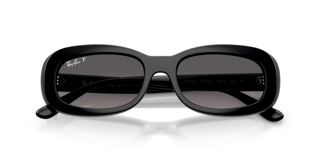 Ray-Ban | 0RB2221