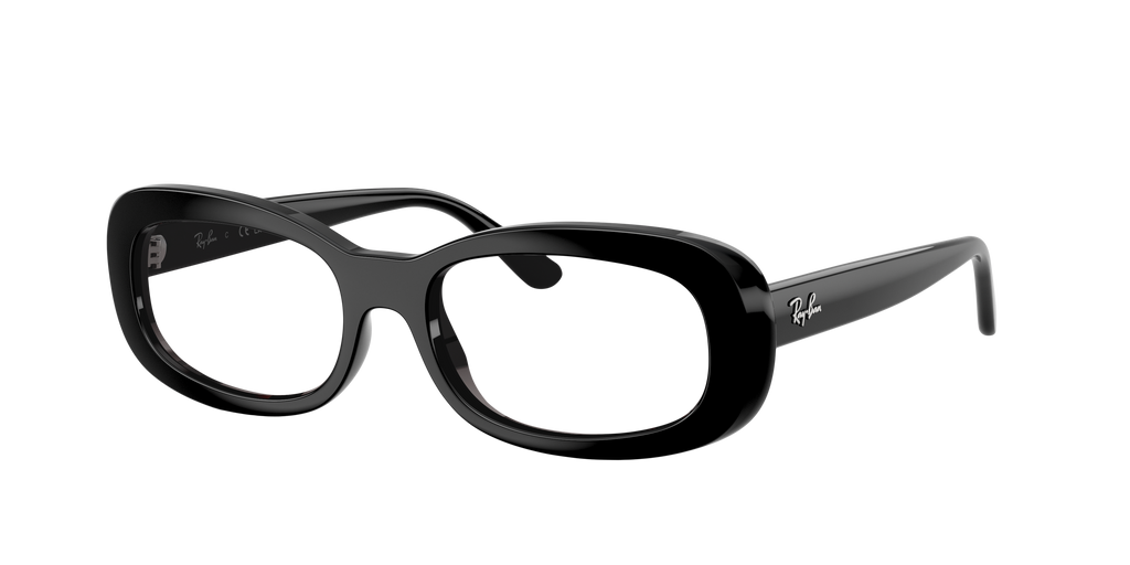 Ray-Ban | 0RB2221