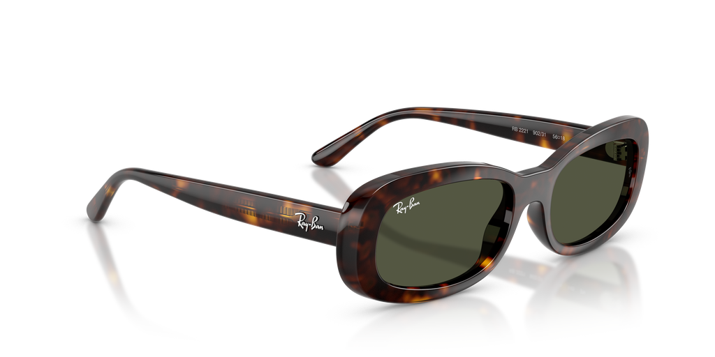 Ray-Ban | 0RB2221