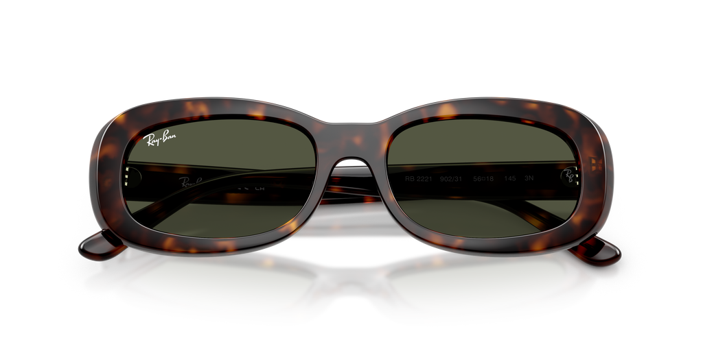Ray-Ban | 0RB2221