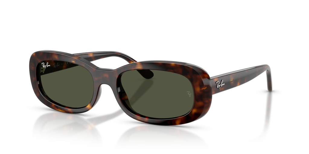 Ray-Ban | 0RB2221
