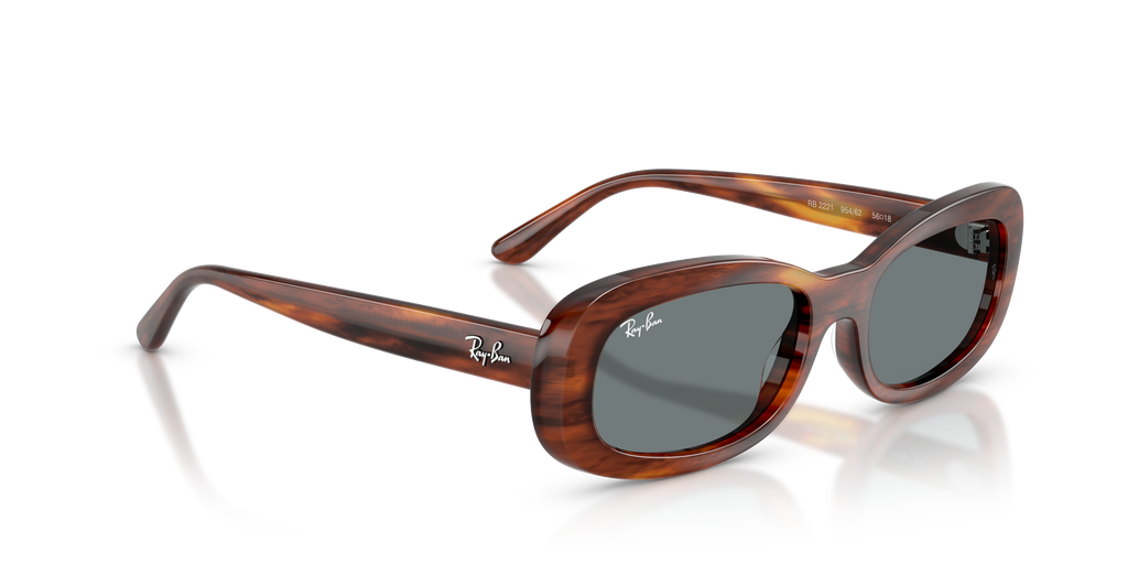 Ray-Ban | 0RB2221