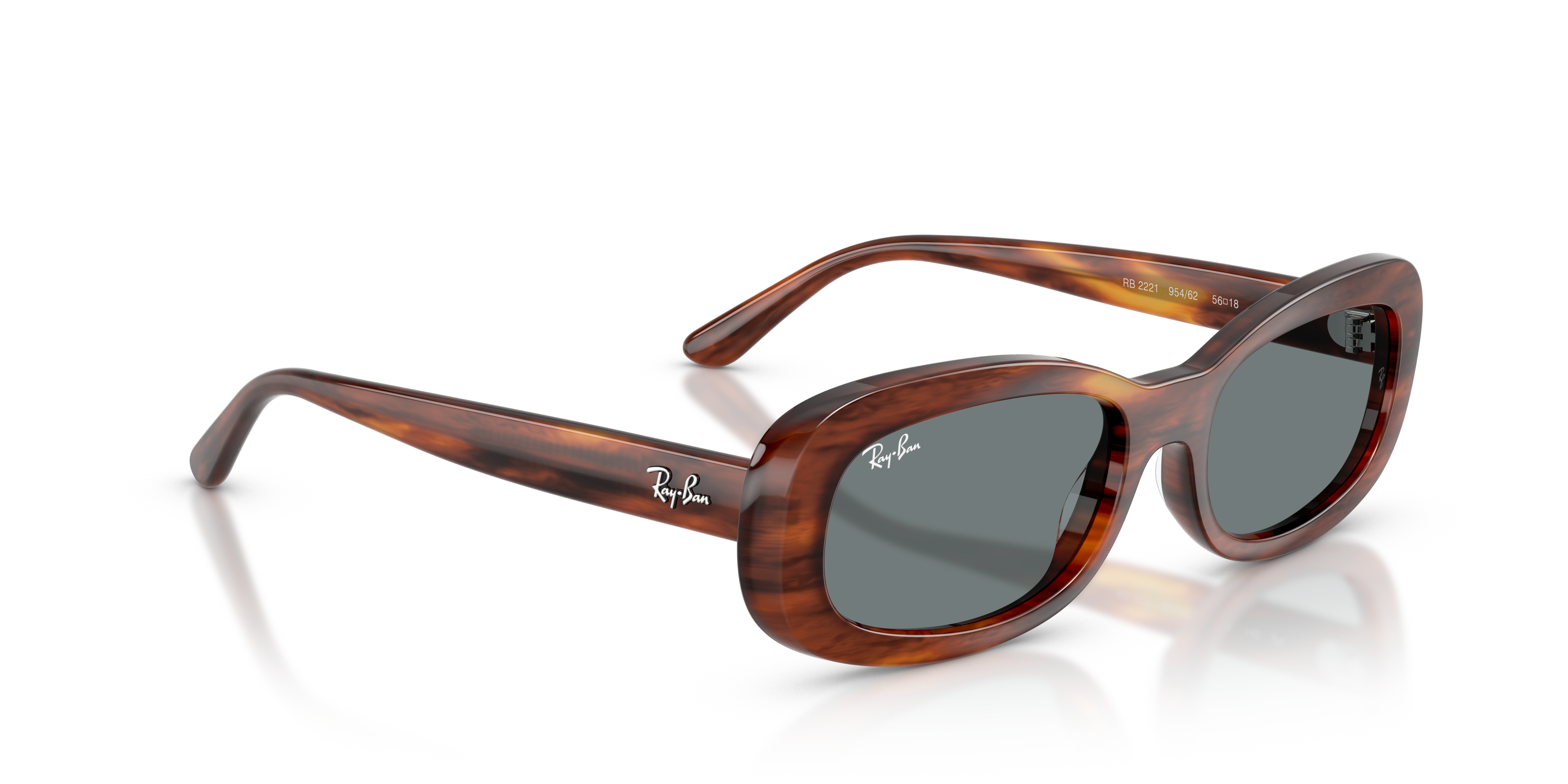Ray-Ban | 0RB2221