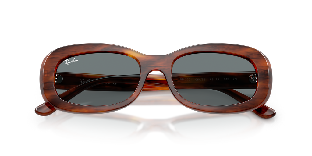 Ray-Ban | 0RB2221