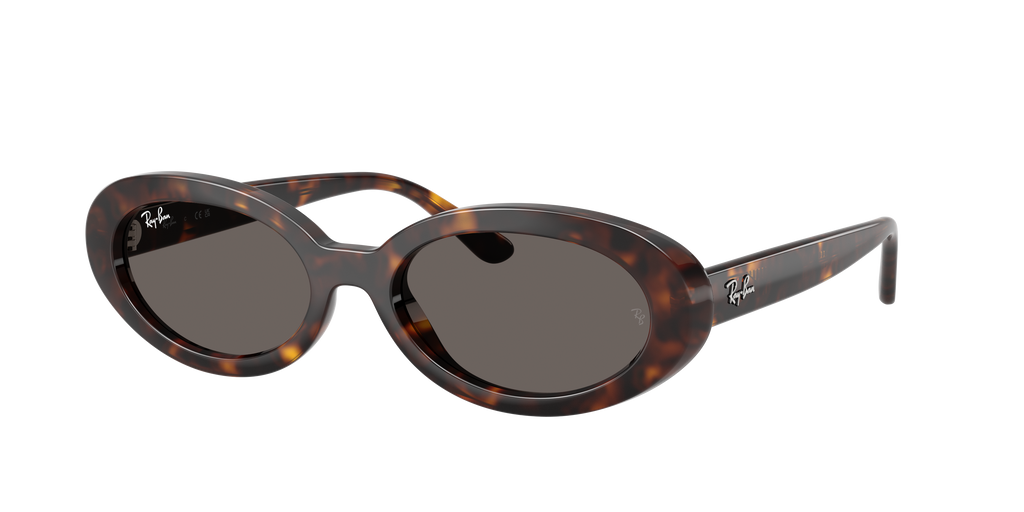 Ray-Ban | 0RB2223