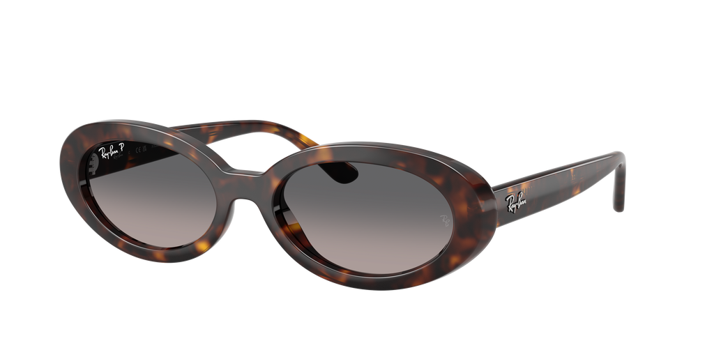 Ray-Ban | 0RB2223