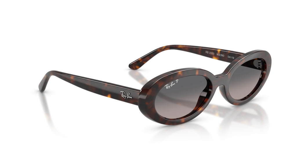 Ray-Ban | 0RB2223