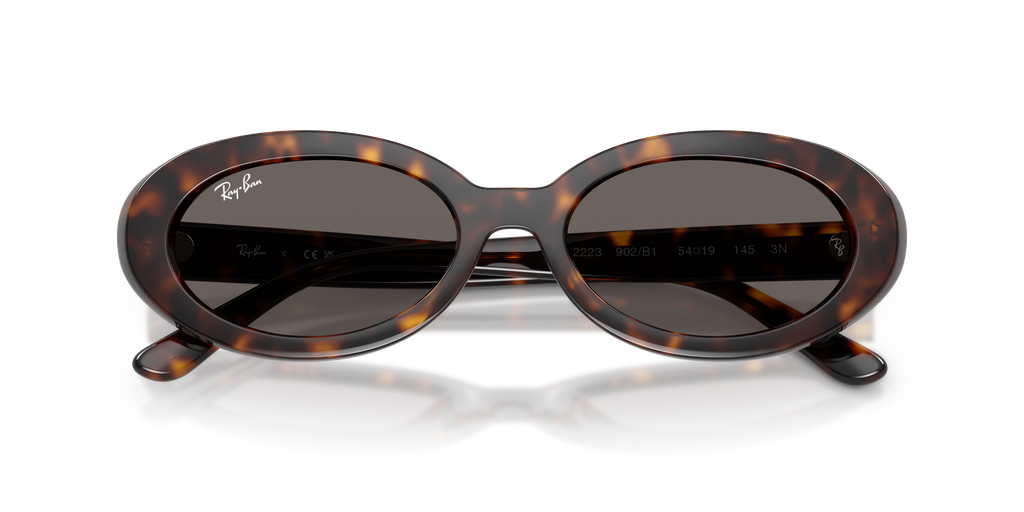 Ray-Ban | 0RB2223