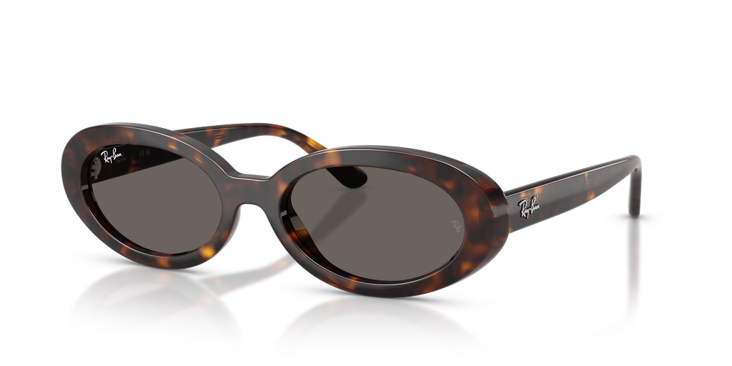 Ray-Ban | 0RB2223