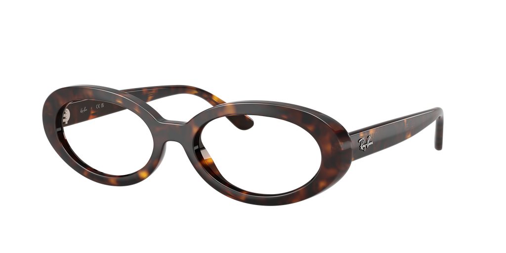 Ray-Ban | 0RB2223