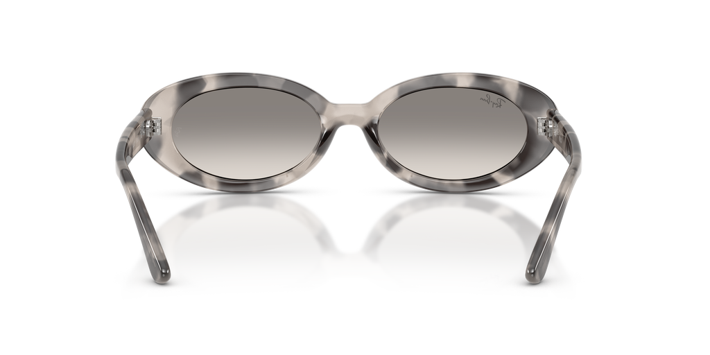 Ray-Ban | 0RB2223