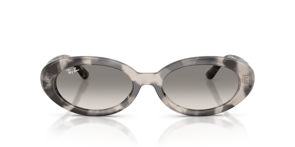 Ray-Ban | 0RB2223