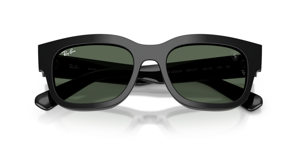 Ray-Ban | 0RB2228M