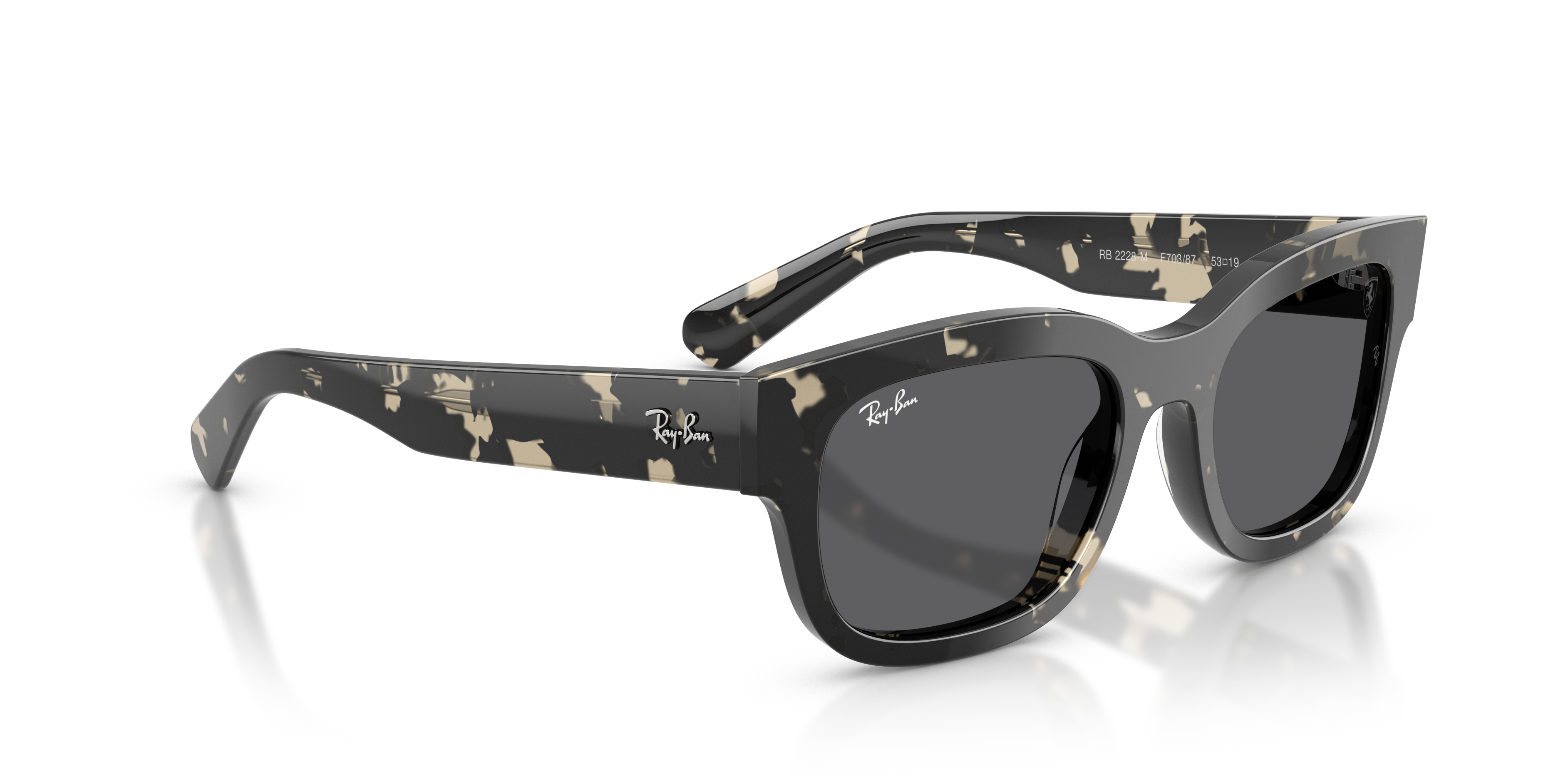 Ray-Ban | 0RB2228M