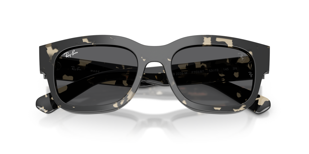Ray-Ban | 0RB2228M