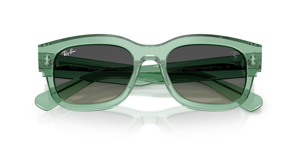 Ray-Ban | 0RB2228M