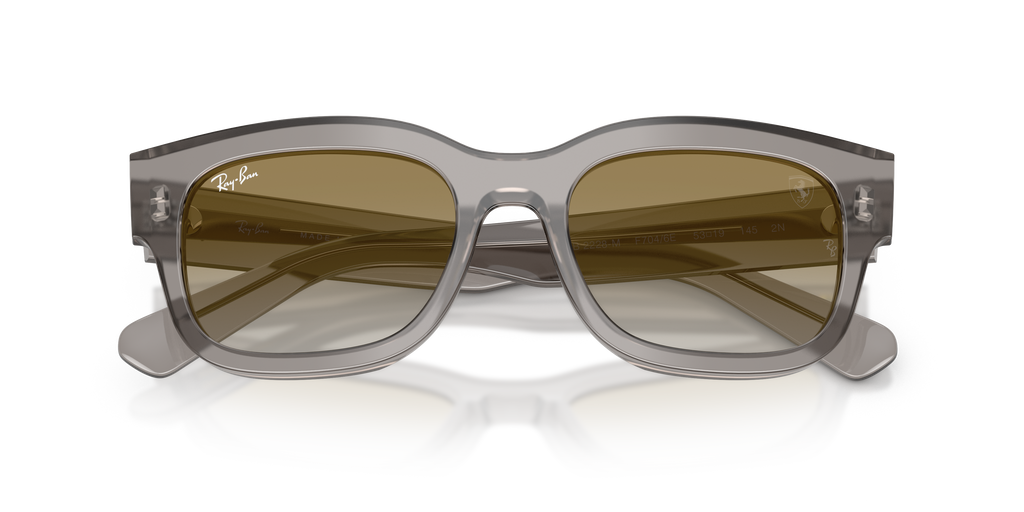 Ray-Ban | 0RB2228M