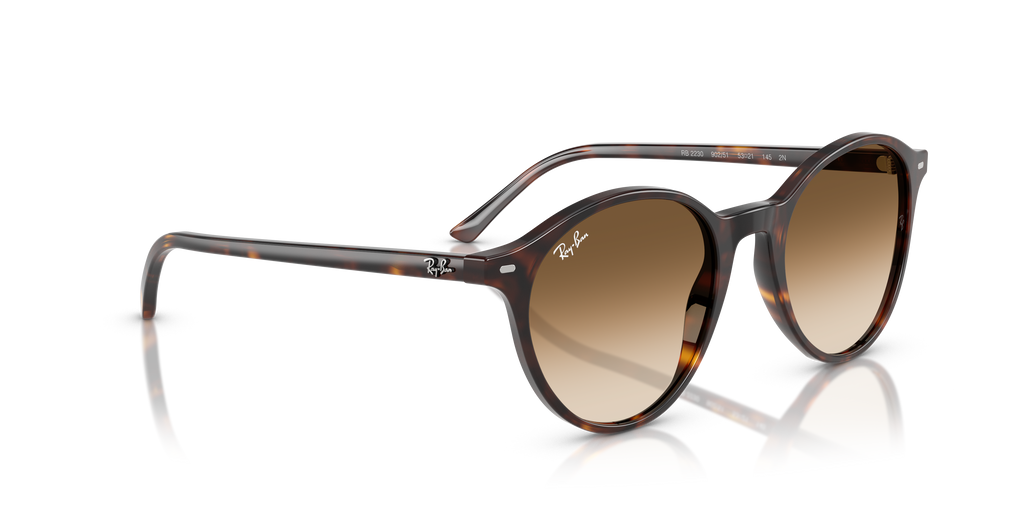 Ray-Ban | 0RB2230