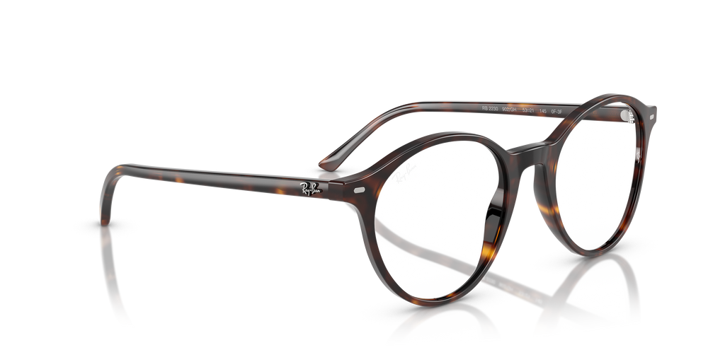 Ray-Ban | 0RB2230