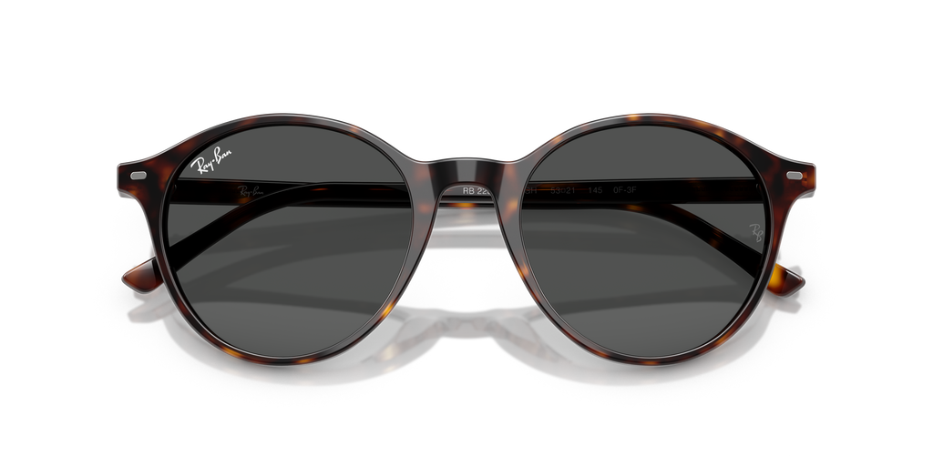 Ray-Ban | 0RB2230
