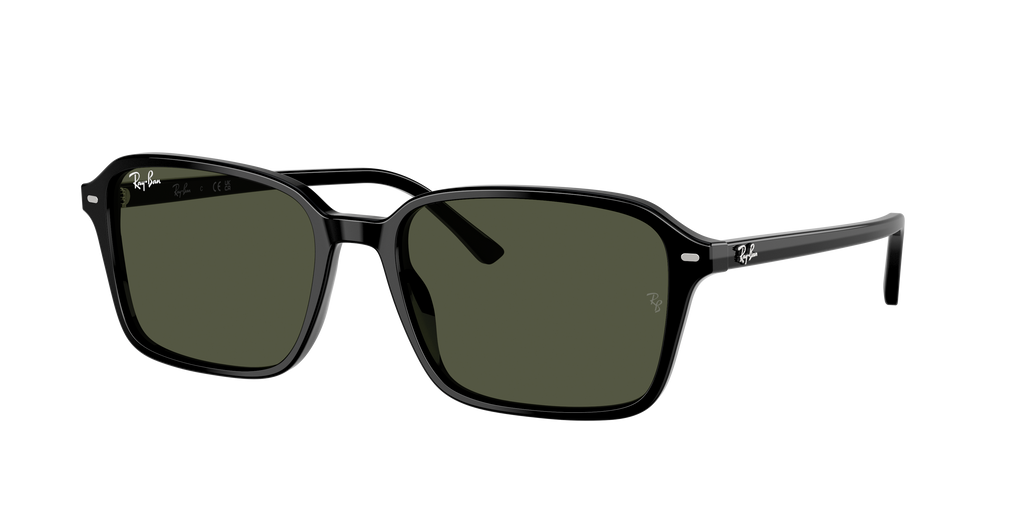 Ray-Ban | 0RB2231