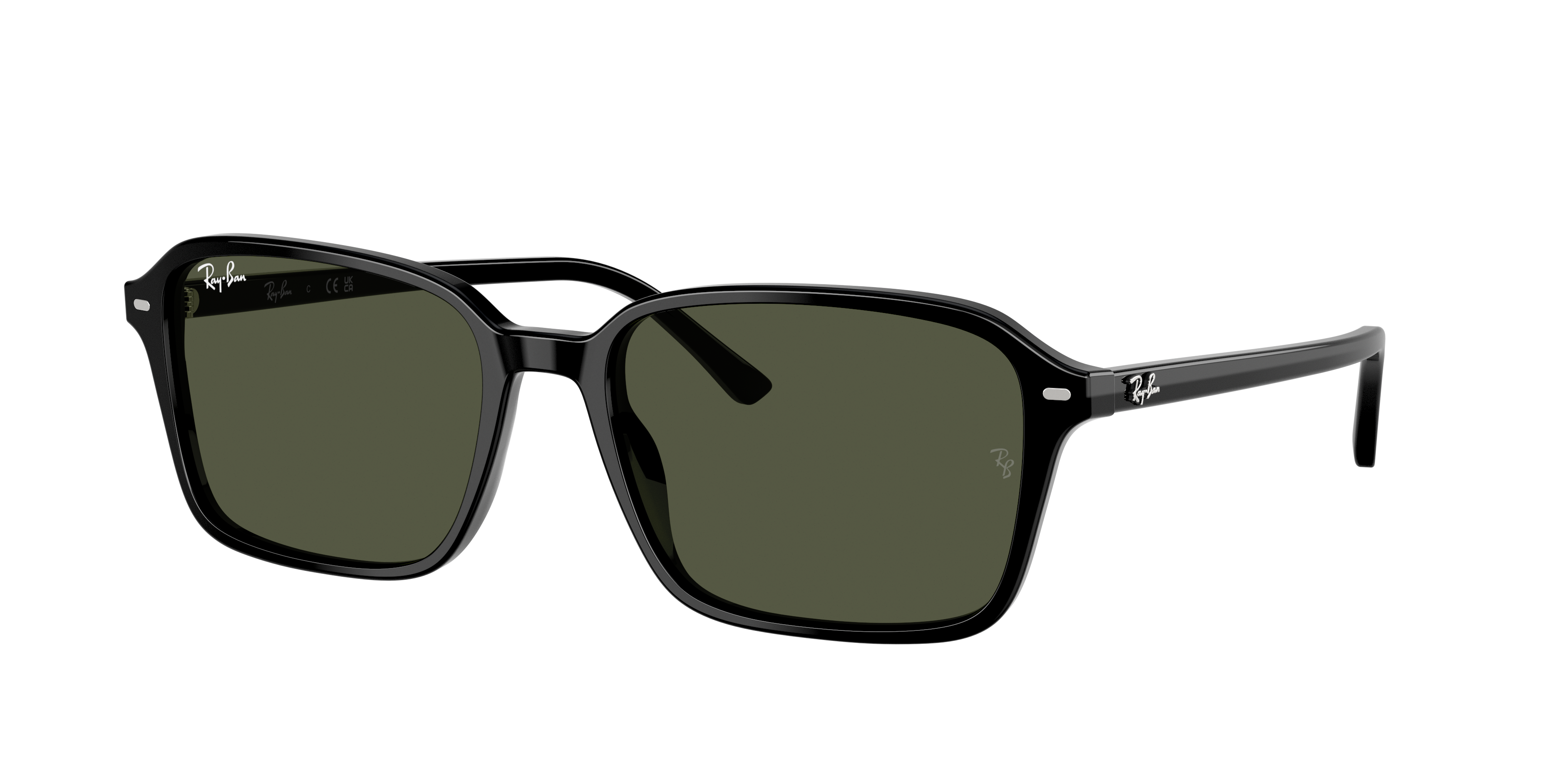 Ray-Ban | 0RB2231