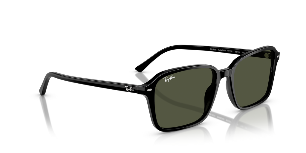 Ray-Ban | 0RB2231
