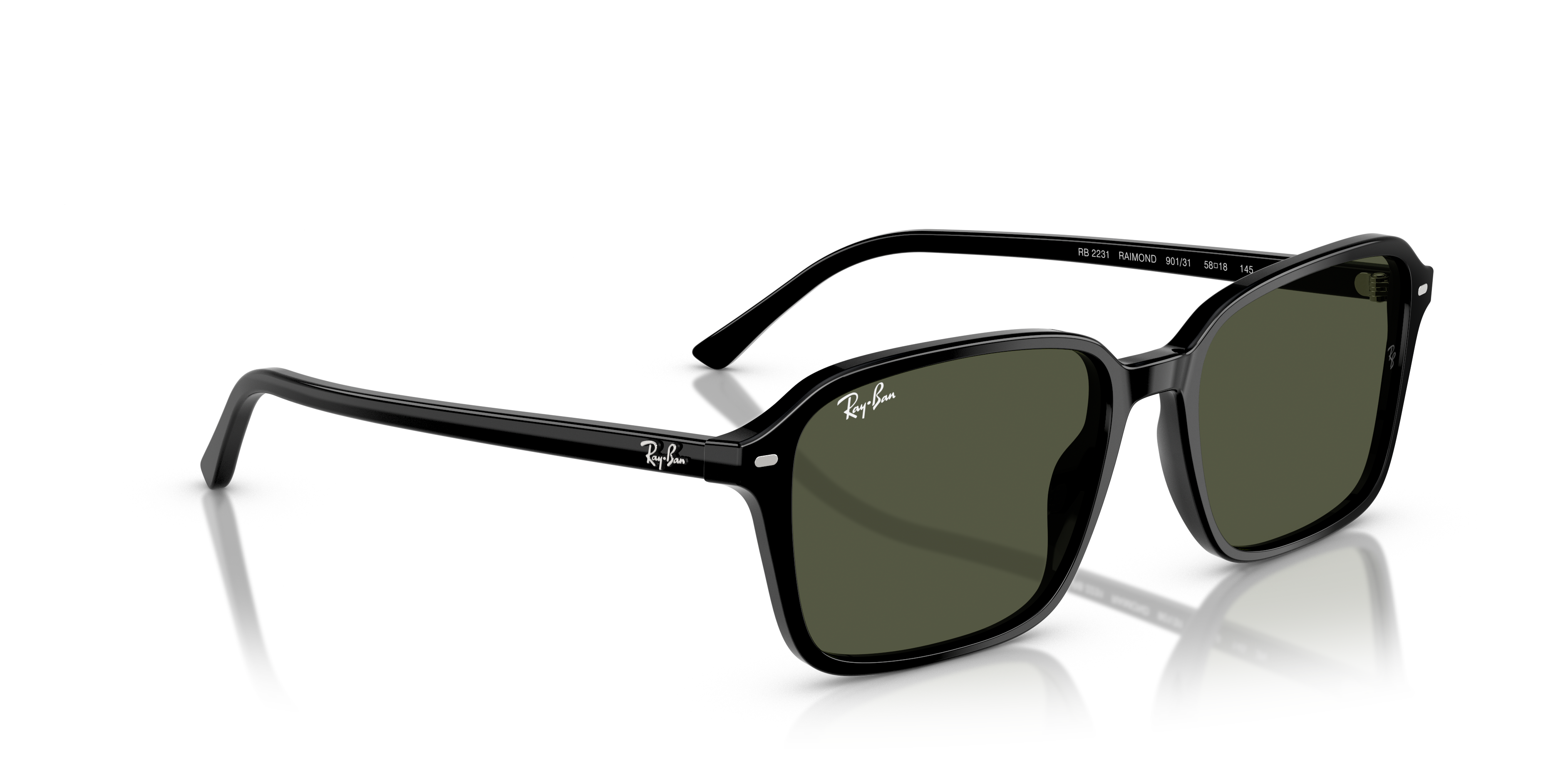 Ray-Ban | 0RB2231