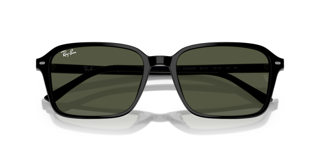Ray-Ban | 0RB2231