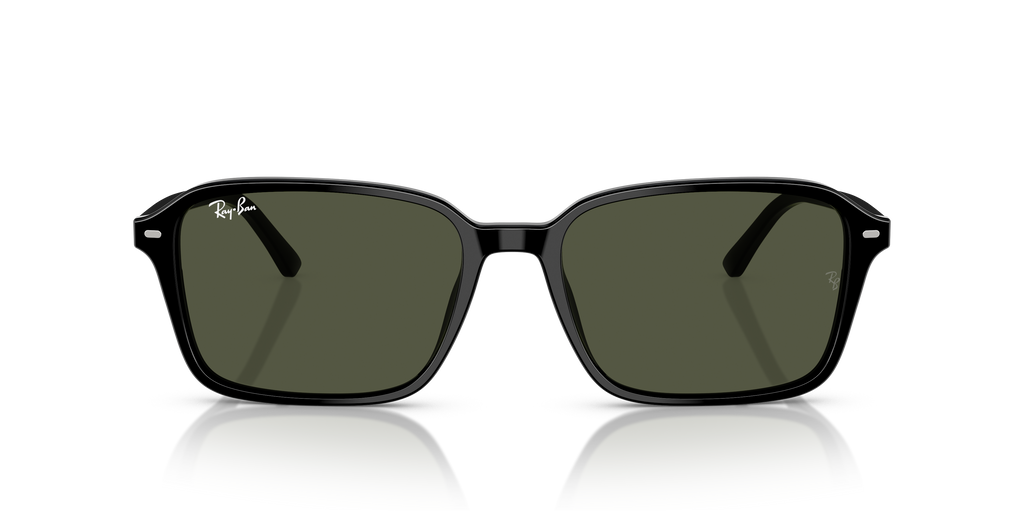 Ray-Ban | 0RB2231