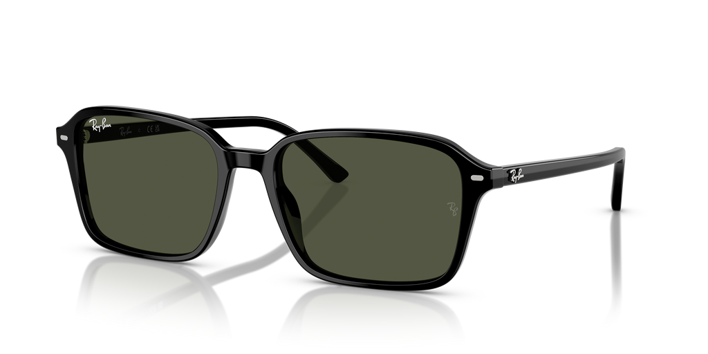 Ray-Ban | 0RB2231