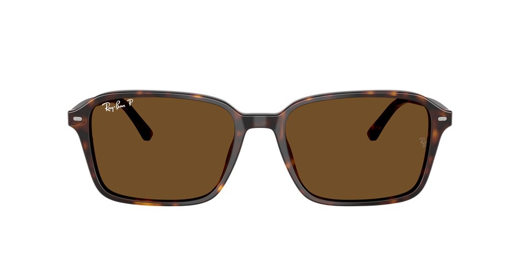 Ray-Ban | 0RB2231