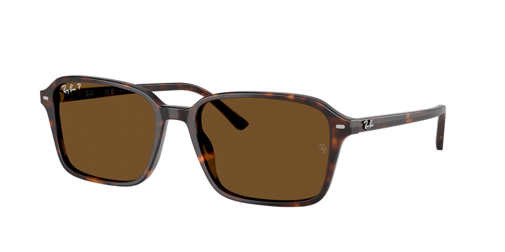 Ray-Ban | 0RB2231
