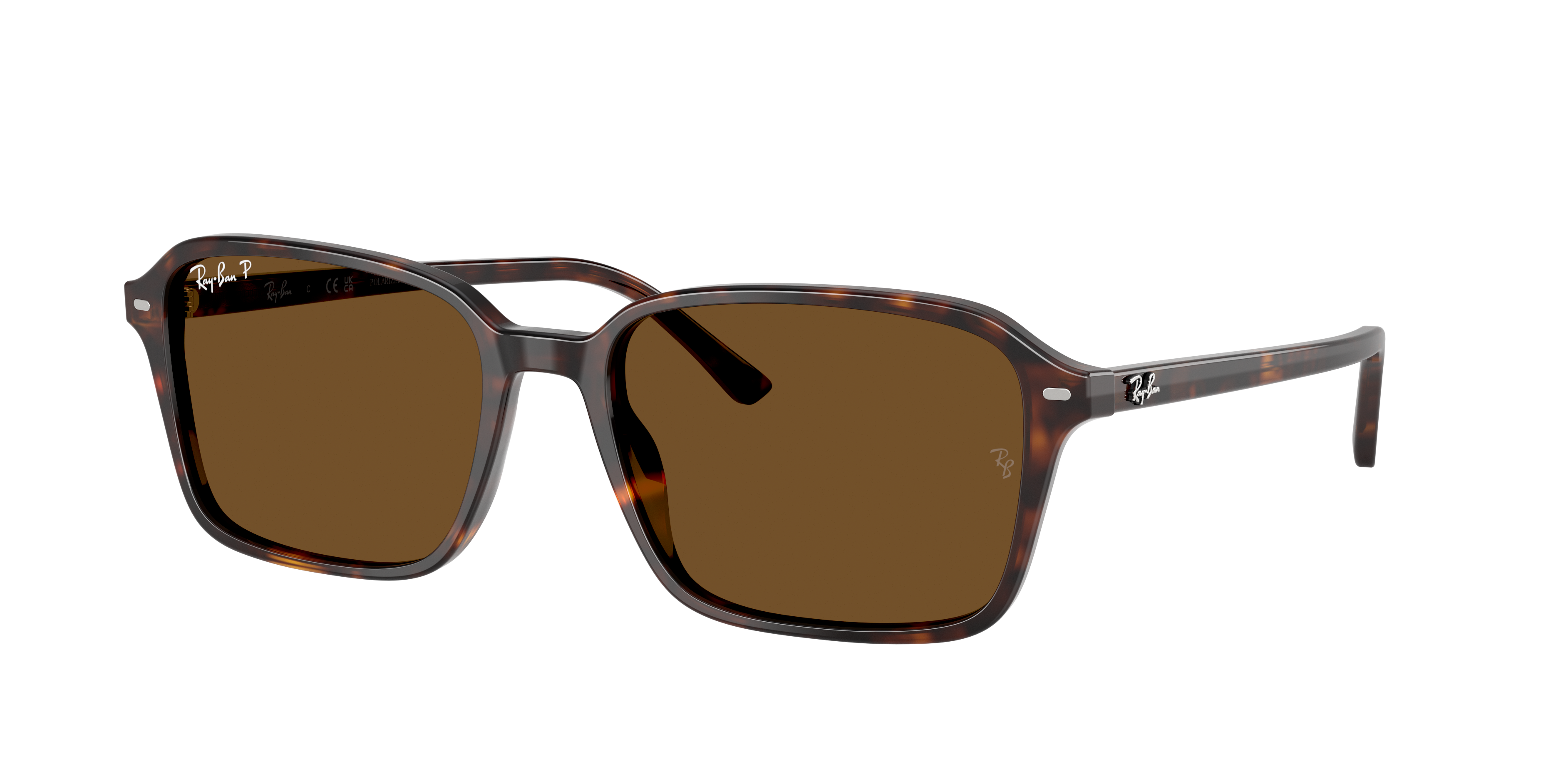 Ray-Ban | 0RB2231