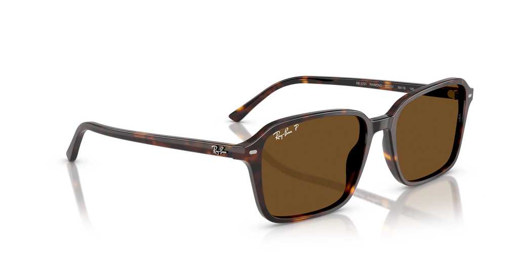 Ray-Ban | 0RB2231