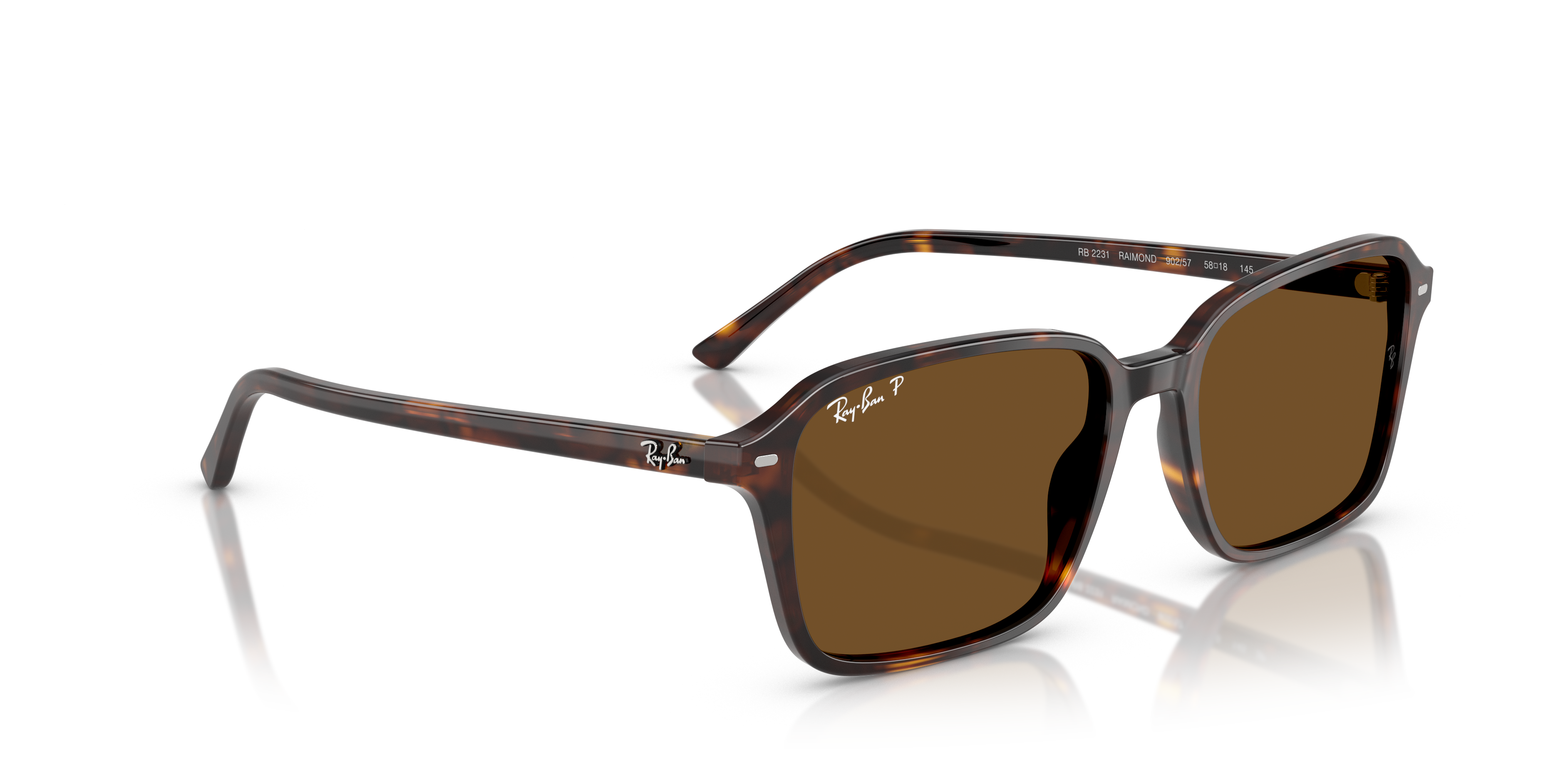 Ray-Ban | 0RB2231