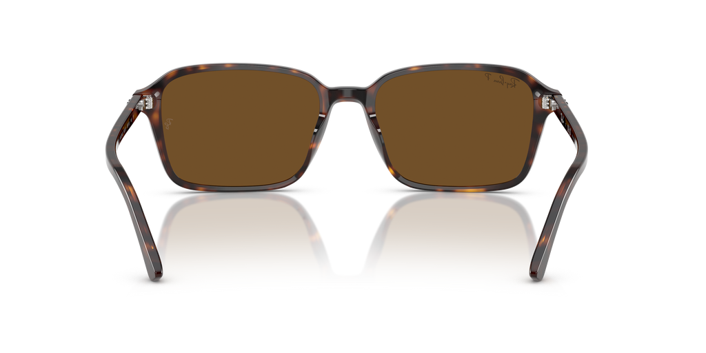Ray-Ban | 0RB2231