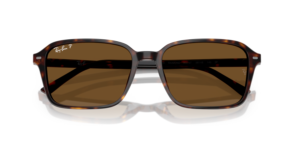 Ray-Ban | 0RB2231