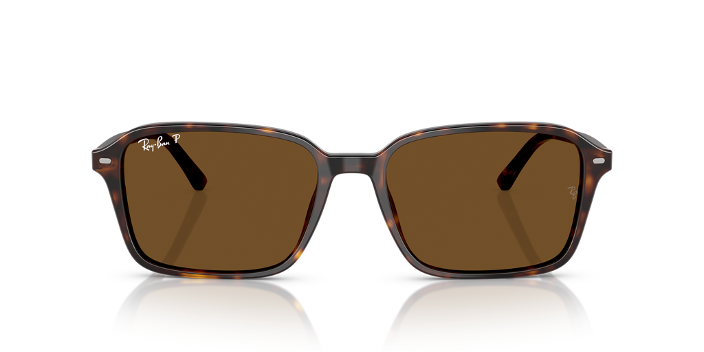 Ray-Ban | 0RB2231