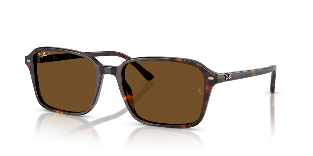 Ray-Ban | 0RB2231