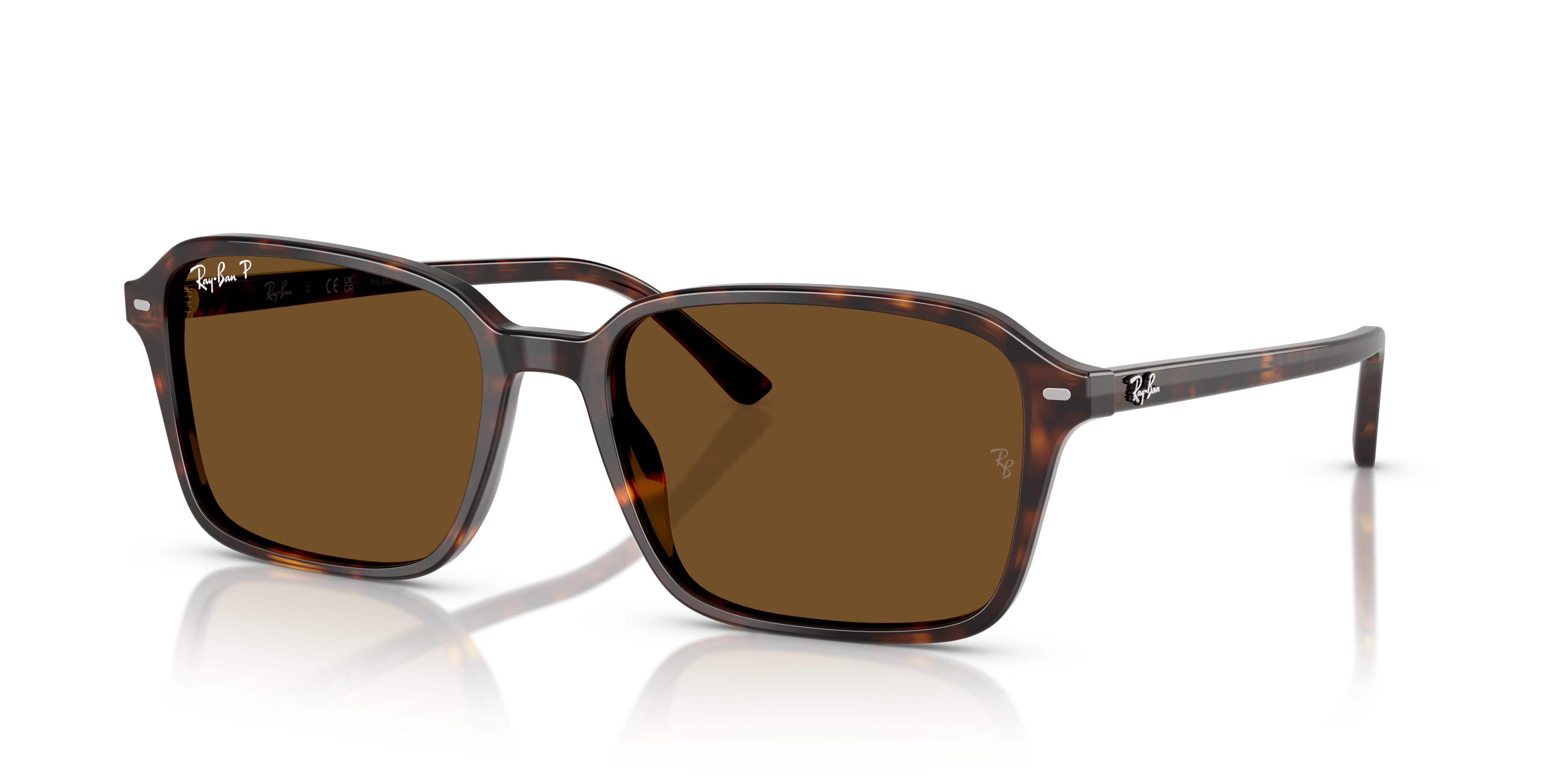 Ray-Ban | 0RB2231