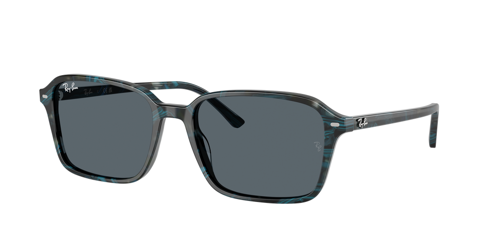Ray-Ban | 0RB2231