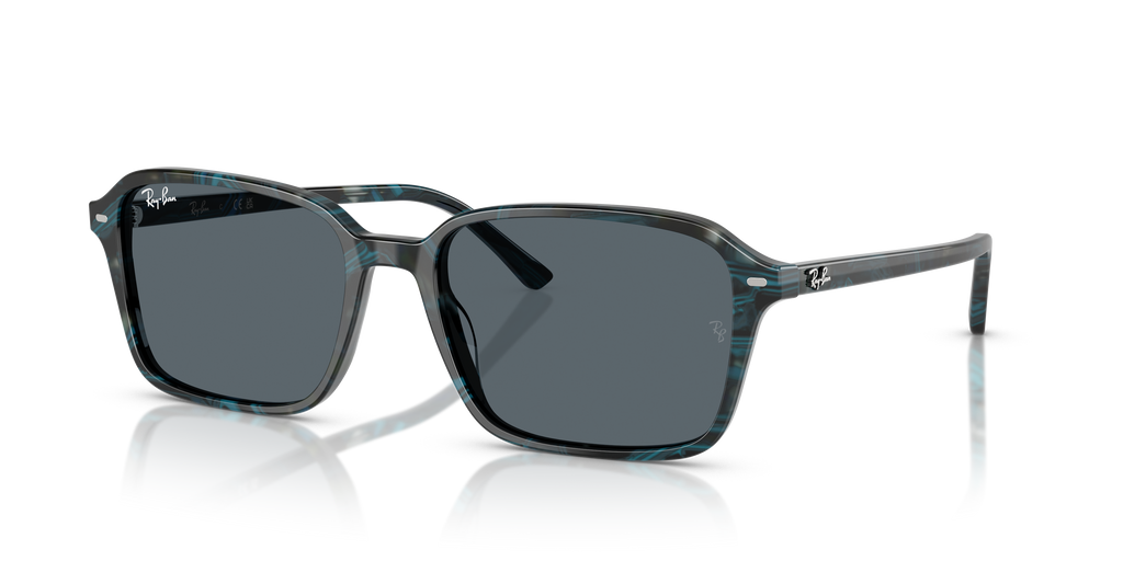 Ray-Ban | 0RB2231