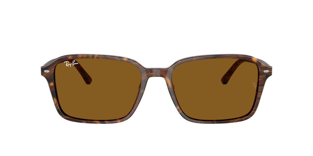 Ray-Ban | 0RB2231
